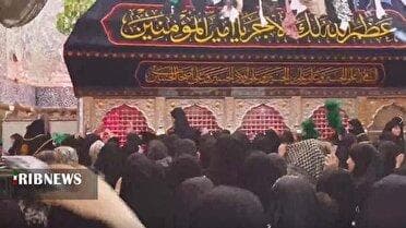 روایتی از عشق و دلدادگی زائران اربعین حسینی در نجف اشرف