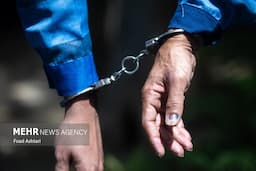 دستگیری ۳ شکارچی بومی در میامی؛ گوشت شکار کشف شد