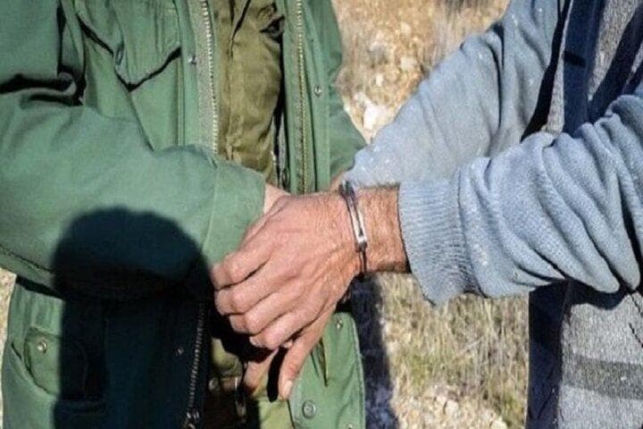 شکارچی متخلف ۳ آهوی ماده را در اسفراین از پا درآورد