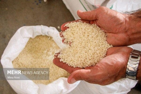 جزئیات پرونده احتکار ۱۰۰۰ تن برنج؛ مفسدان اقتصادی زیر ذره بین قانون