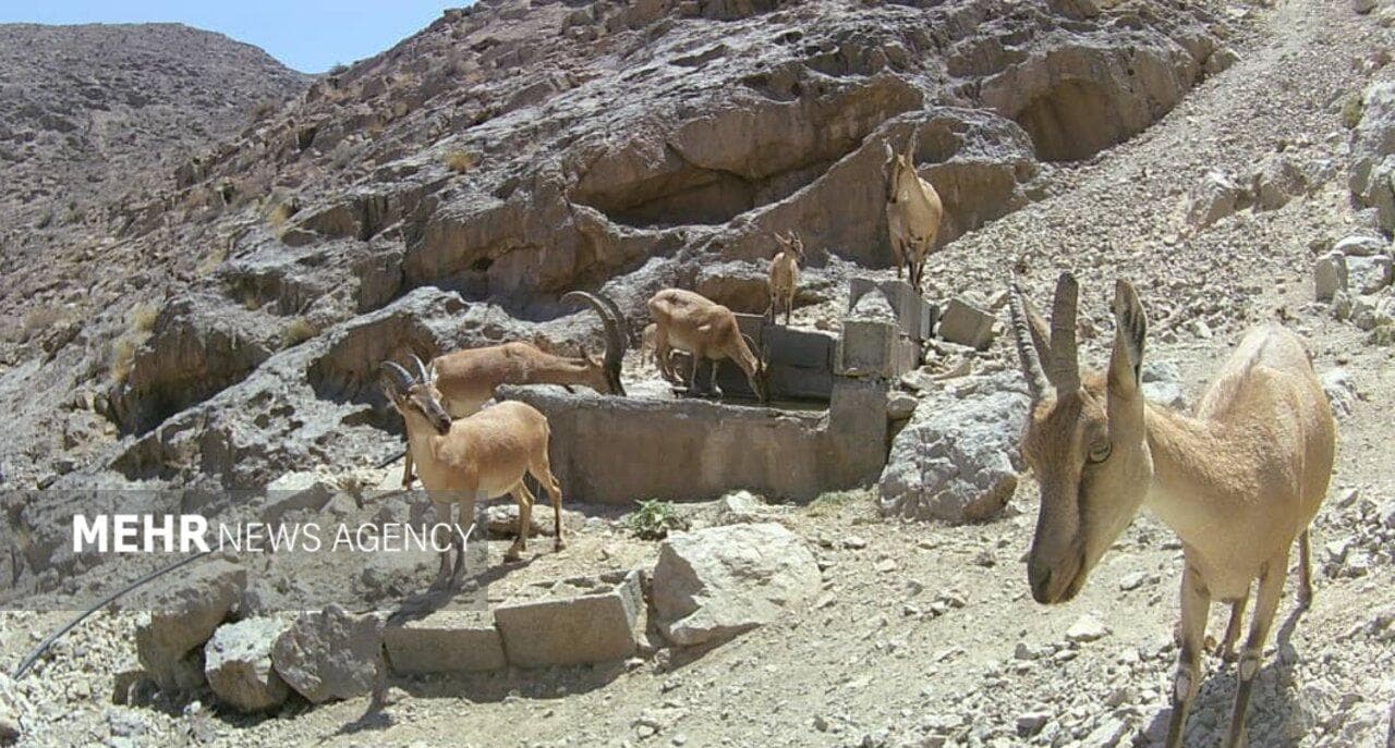 منابع آبی پناهگاه حیات‌وحش یخاب با لایروبی چشمه‌ها تقویت می‌شود