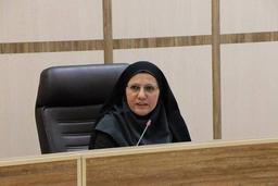 پروژه ملی مهارت‌های اقتصاد دیجیتال وارد فاز اجرایی شد