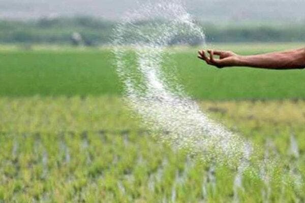 اطلاعیه انجمن تولیدکنندگان کودهای کشاورزی درباره کمبود کود در بازار