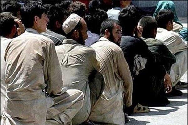 جمع آوری ۳۵۷ نفر اتباع بیگانه غیرمجاز در زابل