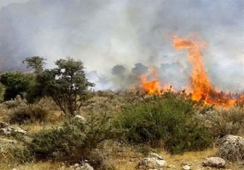 وقوع فقره ۵۶ فقره آتش سوزی در استان؛۸۶۸ هکتار جنگل طعمه حریق شد