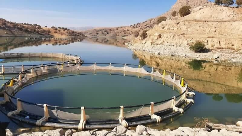 سیمره؛ دریاچه‌ای که شغل می‌سازد