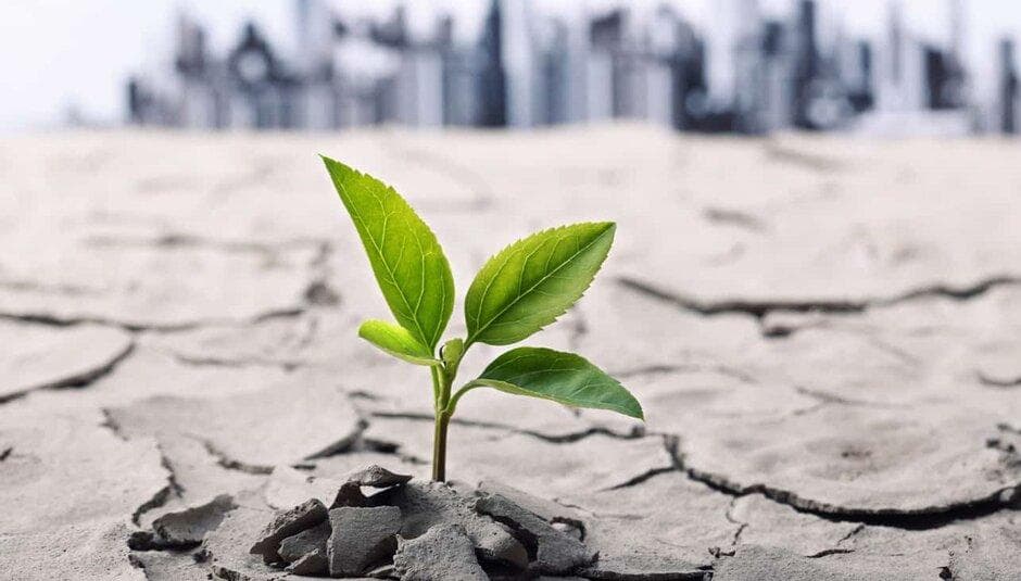 مشارکت مردم در جنگ و نسبت آن با ارتقای «تاب‌آوری» اجتماعی