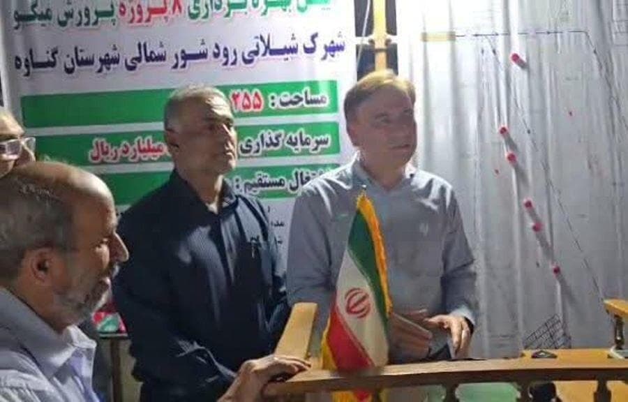 ۸ مزرعه پرورش میگو در شهرستان گناوه به بهره‌برداری رسید