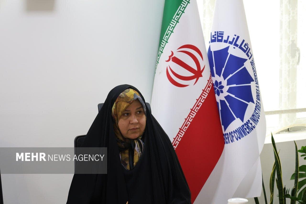 فعالان بخش خصوصی خوزستان با وزیر اقتصاد دیدار می‌کنند