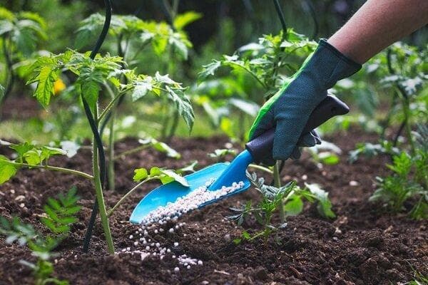 مصوبه پرداخت تسهیلات تهیه و تدارک کودهای کشاورزی ابلاغ شد