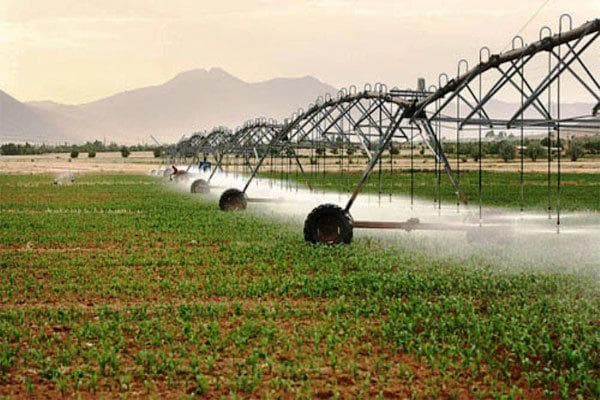 بحران حکمرانی آب در خوزستان؛ از سوءمدیریت تا نیاز به اصلاحات ساختاری