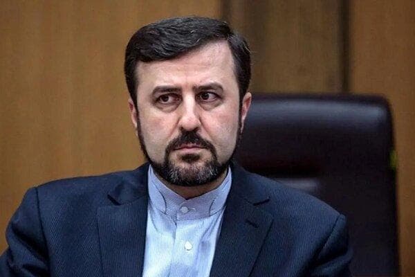 غریب آبادی: در صورت فعال‌سازی مکانیزم ماشه تعامل با آژانس متوقف می‌شود