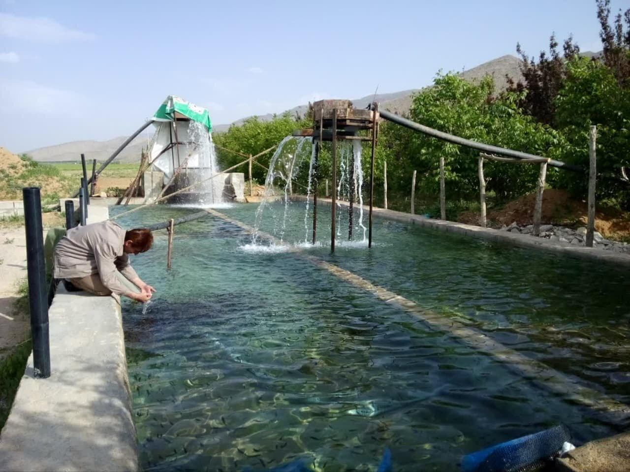 افتتاح سه طرح شیلاتی در استان کرمانشاه با اعتبار ۴۷۵ میلیارد ریال