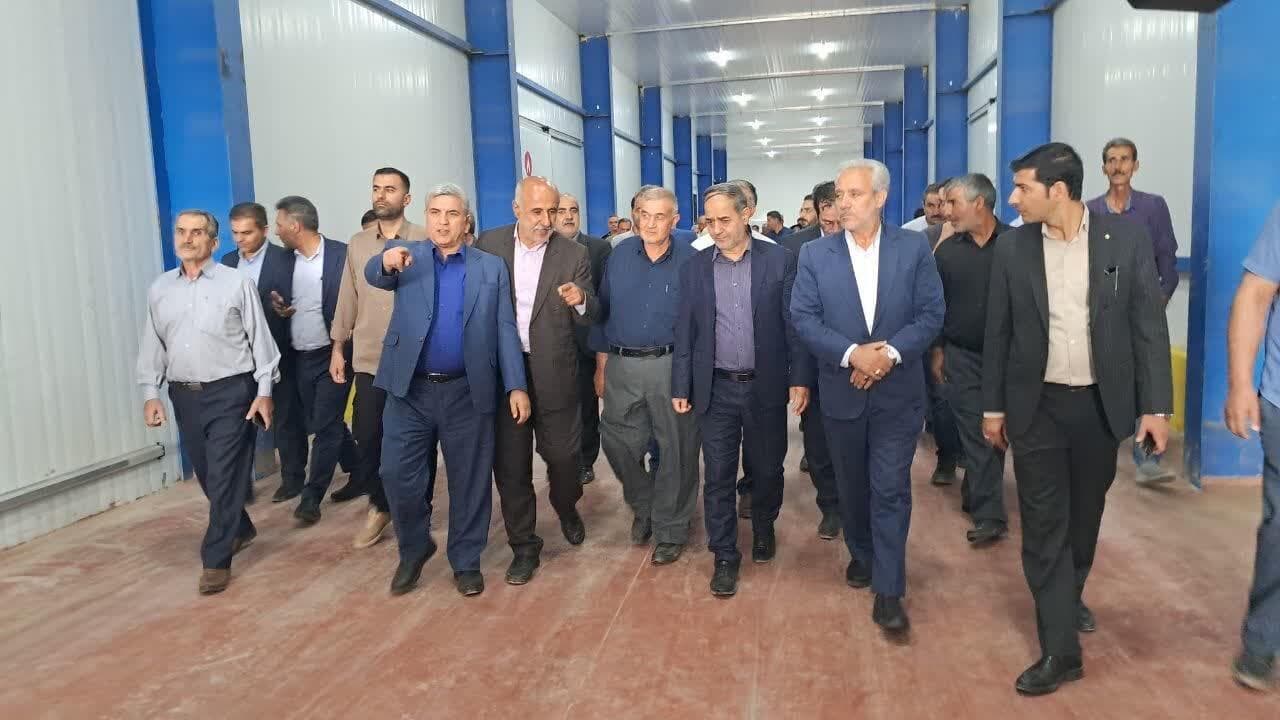 سردخانه ۶ هزار تنی قروه افتتاح شد