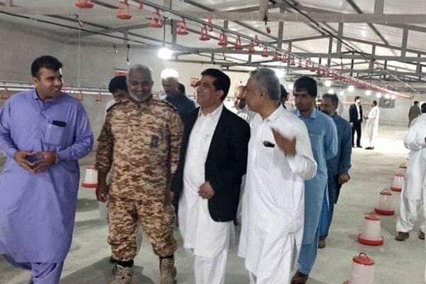 افتتاح اولین واحد پرورش بلدرچین در سیب و سوران