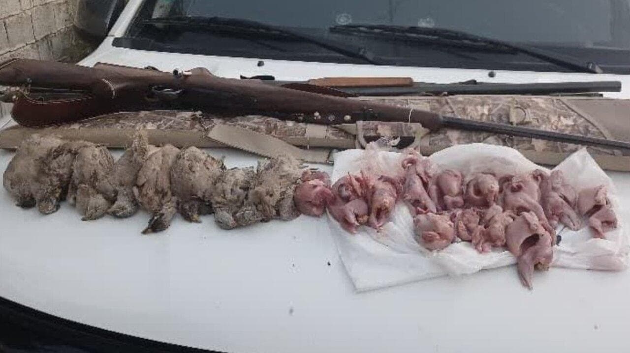 شکارچی غیرمجاز در کازرون دستگیر شد