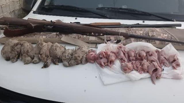 شکارچی غیرمجاز در کازرون دستگیر شد