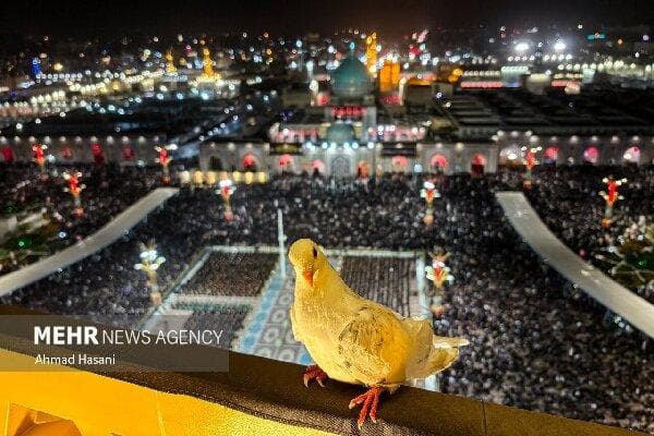 به من امام رضا جانم! کسی به جز تو حواسش نیست...