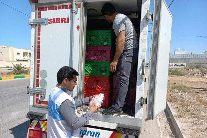 سلامت فرآورده‌های دامی و امنیت غذایی در بوشهر با جدیت دنبال می‌شود
