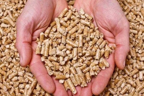 پروانه بهره برداری یک واحد خوراک دام و طیور در سمنان صادر شد