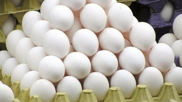 افزایش ۱۰۰ درصدی صادرات تخم مرغ خوراکی از استان مرکزی