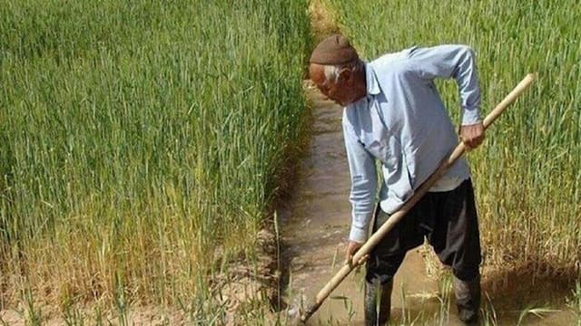 رنج کشاورزان سلیمان‌آباد تنکابن؛ زیر سایه برداشت بی‌رویه از رودخانه