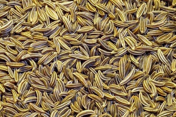 نقش عوامل اقتصادی در تولید و فرآوری زیره سبز