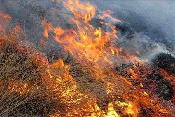 آتش‌سوزی جنگل‌های «سیه‌چه‌ل»ایلام به طور کامل مهار شد