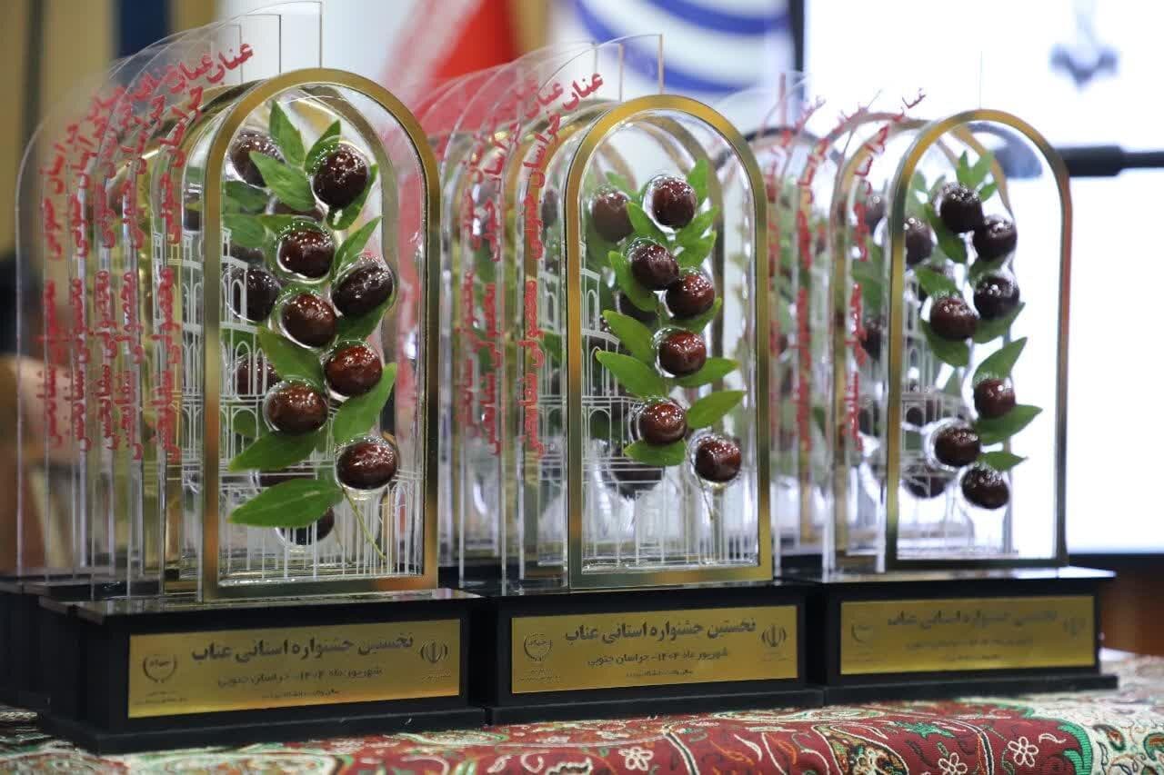 سیستم بازاریابی حرفه ای در بازار عناب وجود ندارد