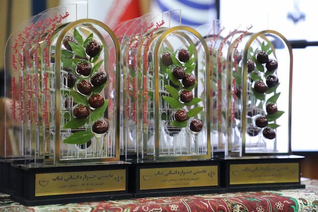 سیستم بازاریابی حرفه ای در بازار عناب وجود ندارد