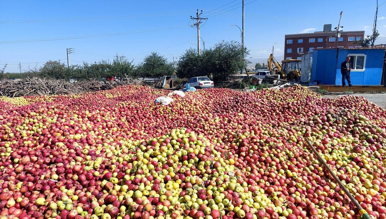 ۳۲ مرکز خرید سیب صنعتی در آذربایجان غربی دایر شد