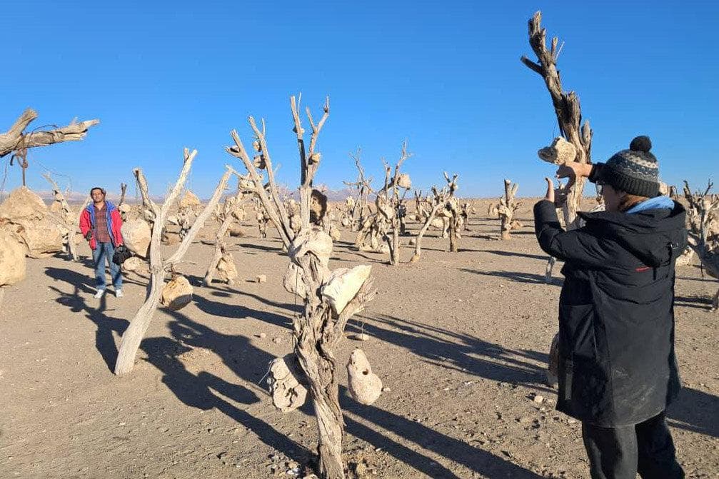 «باغ بهشت» ایرانی در جشنواره انگلیسی 