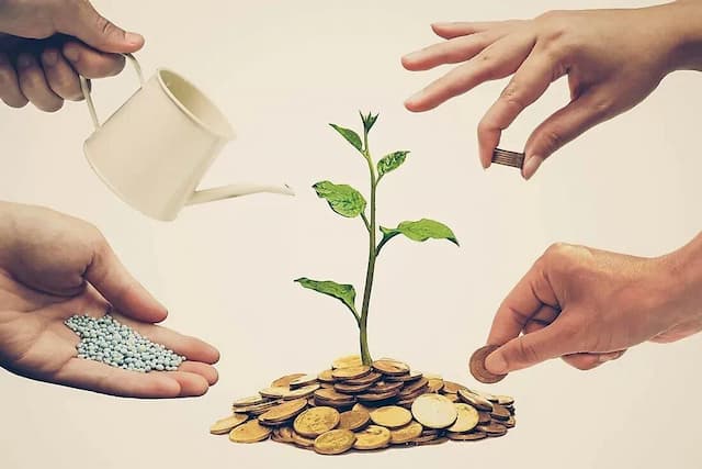نقش تعاونی‌ها در توسعه گلستان؛ ۳۹۳ تعاونی فعال با ۷۳ هزار عضو