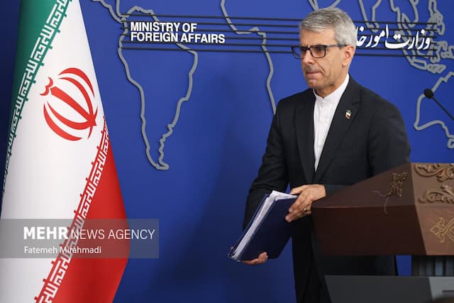 بقائی: پیگیری‌ها برای آزادی مهدیه اسفندیاری ادامه دارد