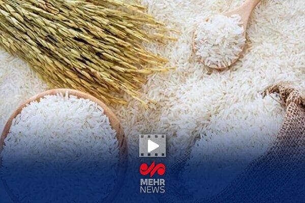نوری: ما دیگر مثل قبل نمی توانیم برنج کشت کنیم