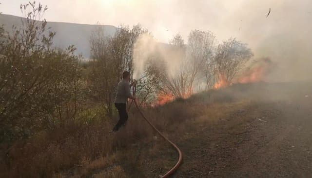 آتش‌سوزی درختان در حوالی روستای «کوخالو» تیکمه‌داش مهار شد