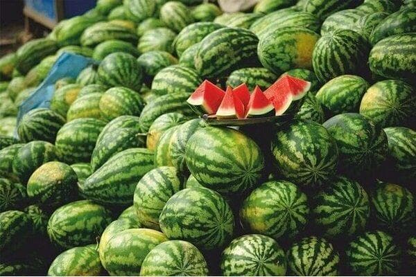 تولید ۹۶۰۰ تُن هندوانه در بیضا فارس