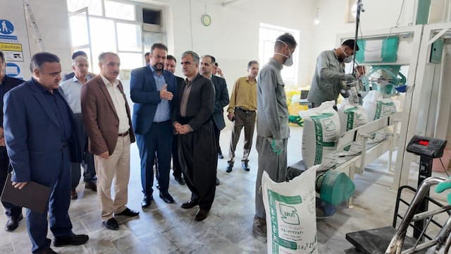 تقویت تعاونی‌ها عامل توسعه پایدار شهرستان سنندج است