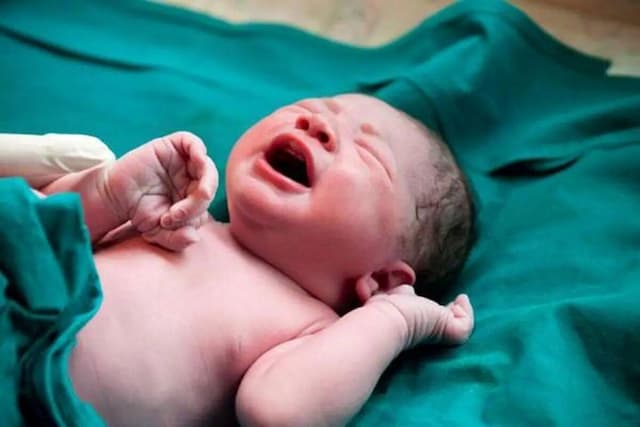 نرخ موالید خراسان جنوبی بالاتر از میانگین کشوری؛ ثبت ۵۷۳۱ ولادت