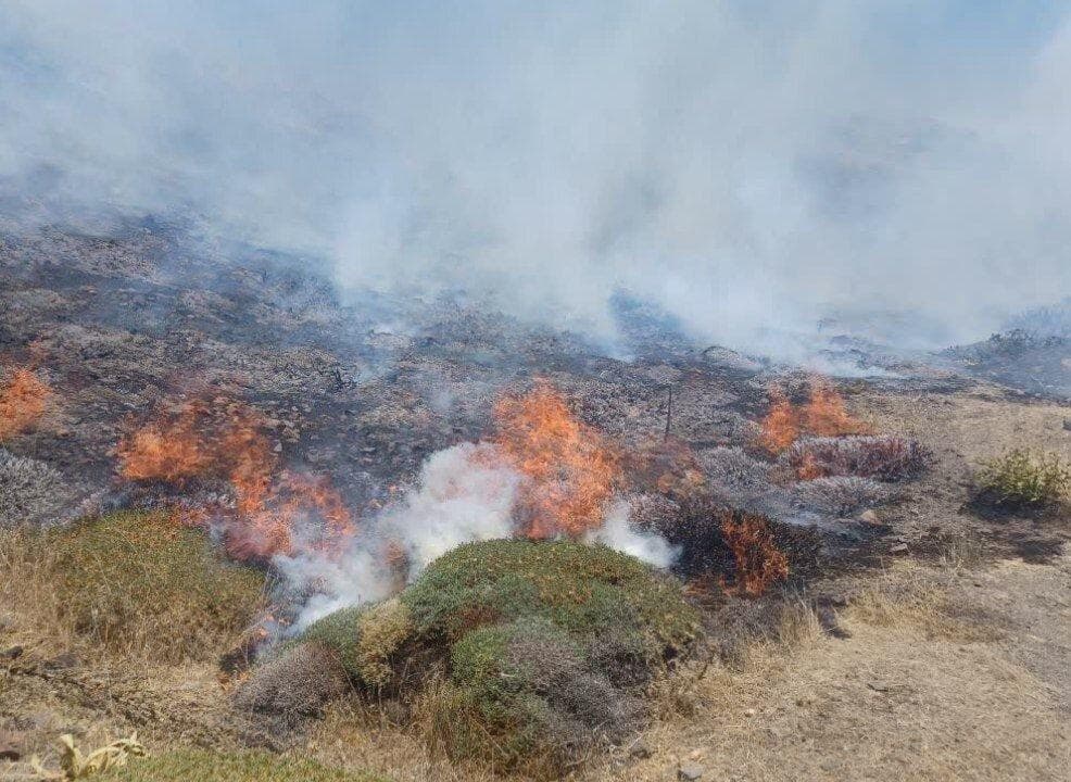 حریق در ۳۵ هکتار از مراتع جنگل نخاب شهرستان خوسف