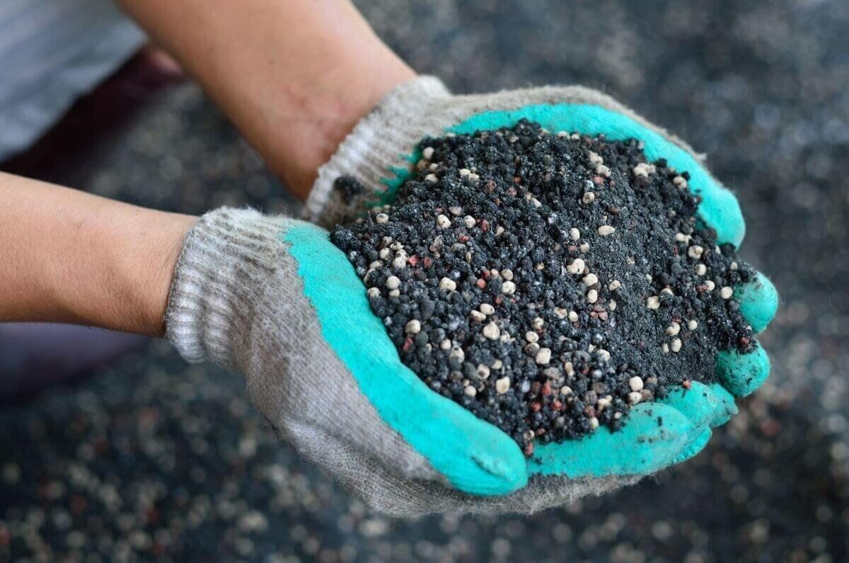 رونمایی از سبد کودی غیرتکلیفی برای کشاورزان استان سمنان