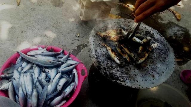 برگزاری جشنواره «گاریز» در بندرعباس