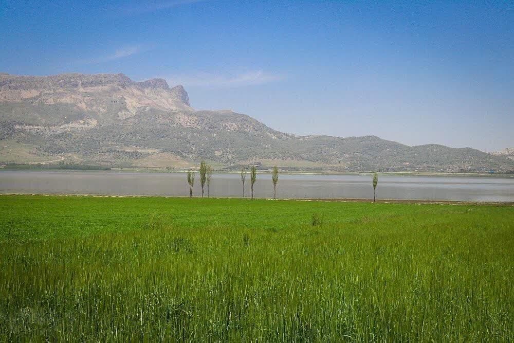 سند تک برگ تالاب ارژن فارس صادر شد
