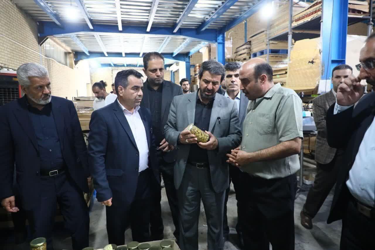 بازدید استاندار همدان از چند واحد تولیدی؛ تزریق امید به نبض تولید