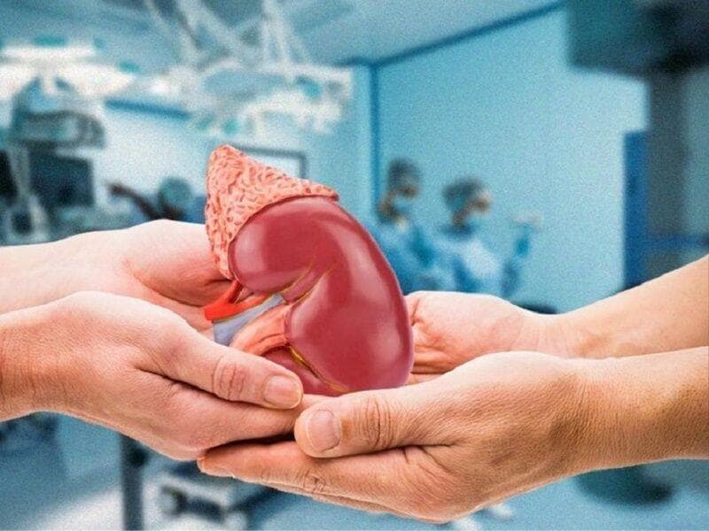 اعضای مادر باردار مرگ مغزی اهل تربت‌جام به هفت نفر حیات بخشید