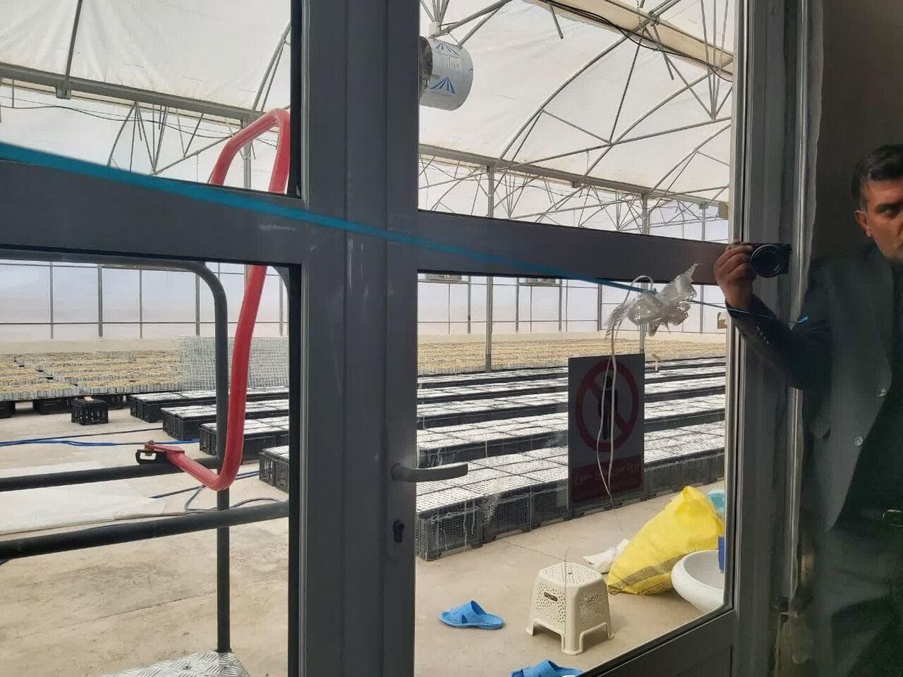 فاز اول گلخانه هیدروپونیک گوجه‌فرنگی در رفسنجان افتتاح شد