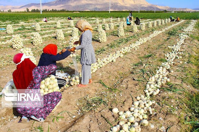 ۱۰ هزار مادر سه فرزندی روستایی در خراسان شمالی زیر چتر بیمه اجتماعی