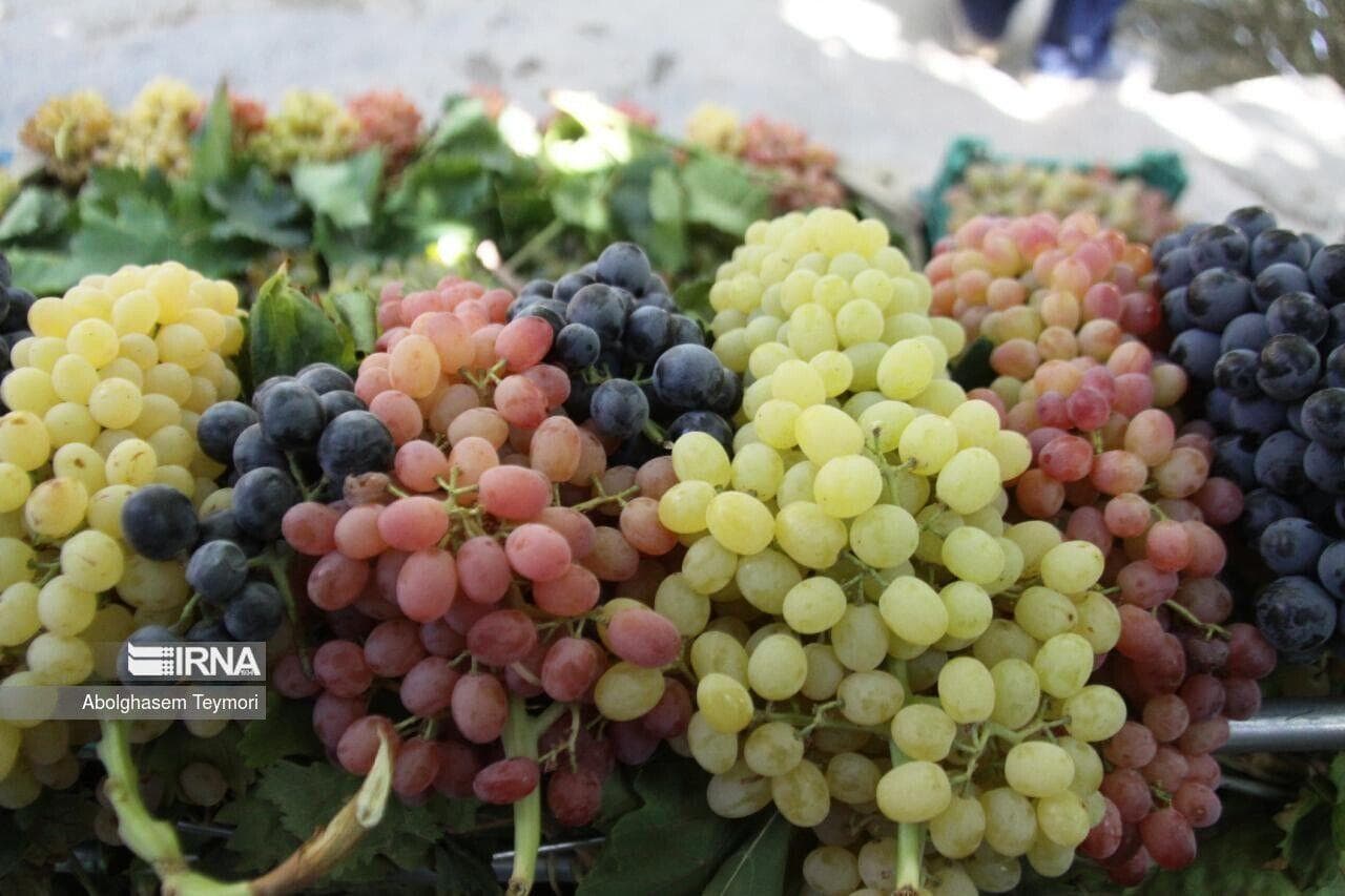 ورود انار و انگور شمال خوزستان به بازار