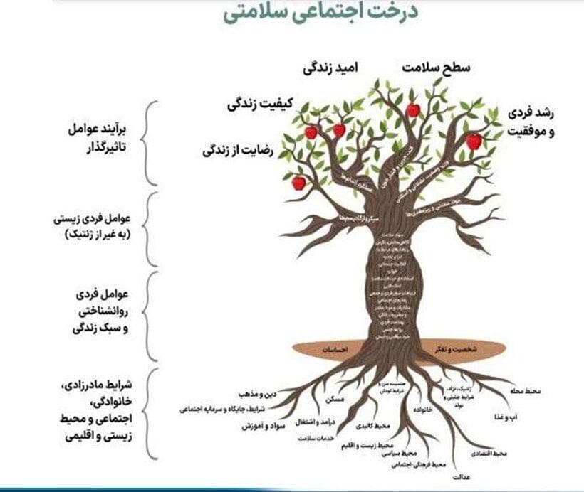  درخت اجتماعی سلامت؛ مدلی نوین برای ترسیم ابعاد چندگانه سلامت