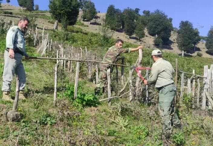 قطع انگشت مامور منابع طبیعی بابل در درگیری با متصرف اراضی ملی